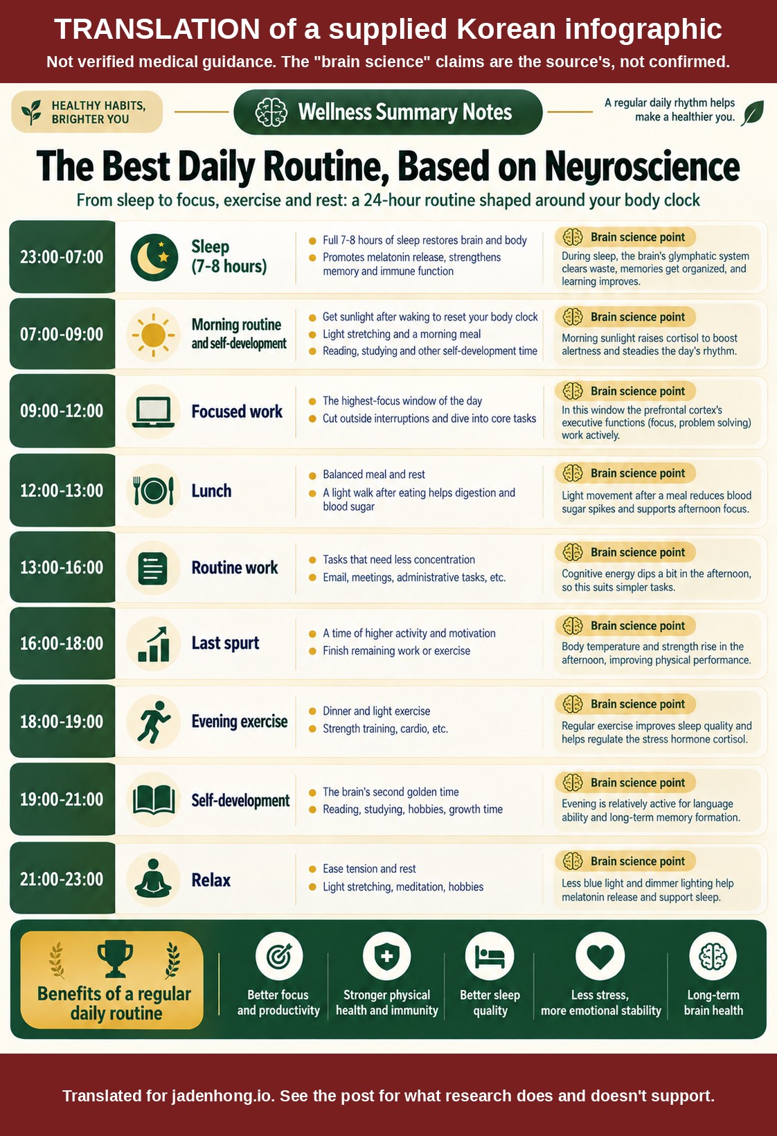 English translation of the Korean infographic The Best Daily Routine, Based on Neuroscience: nine time blocks from sleep at 23:00 to relaxing at 21:00, each with a brain science point, under a banner saying it is a translation and not verified medical guidance.