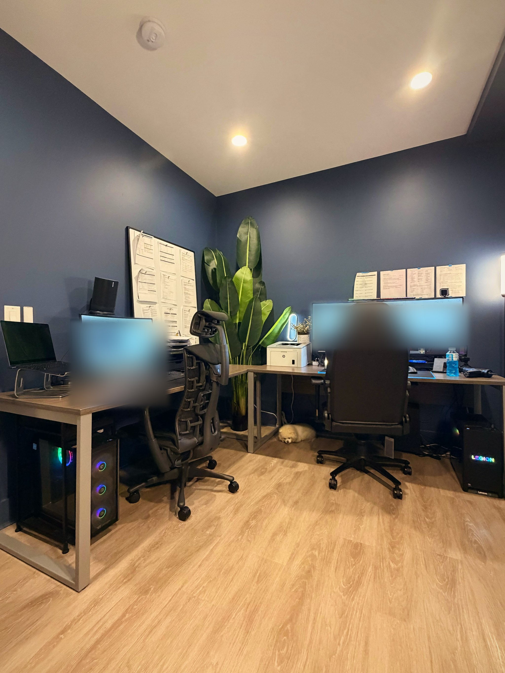 The real office photo: the same room, color graded only, with every screen blurred